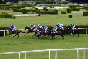 horse racing in UK